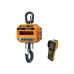 Весы крановые CAS 10THD (с RF+TWN)