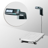 Весы напольные с печатью этикеток TB-S-200.2-RL1